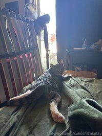 sukoshicosplay leak - I think i might be losing my marbles