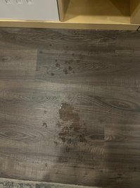 teasingteacher1 leak - MY FIRST SQUIRTING VIDEO!!! I squirt often during sex or wh..