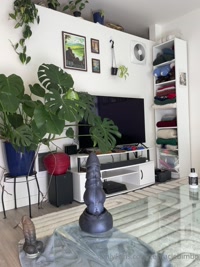 tentaclebimbo leak - Don’t try this at home! Riding XL dildos on a glass table is..