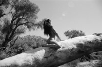 tinyprudencevip leak - Fun fact: I am sexually attracted to trees :)